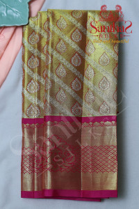 gold-tissue-body-with-pink-border-blouse