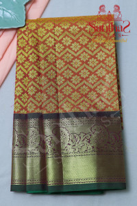 golden-tissue-body-with-contrast-blouse-border