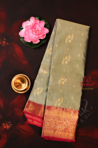 seafoam-green-colour-body-with-golden-zari-butta-with-contrast-blouse-border