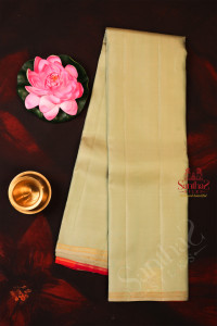 seafoam-green-colour-plain-body-with-contrast-blouse