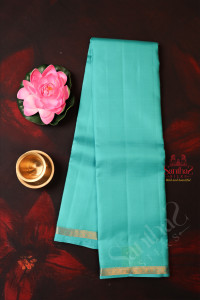 aquablue-colour-plain-self-body-with-blouse