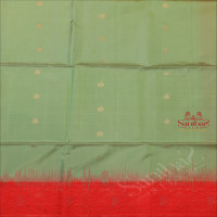 PASTEL GREEN COLOUR BODY WITH GOLDEN ZARI BUTTA AND CONTRAST COLOUR PALLU & BLOUSE