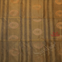 MOSS GREEN COLOUR BODY WITH GOLDEN ZARI FANCY BUTTA WITH CONTRAST BLOUSE & BORDER