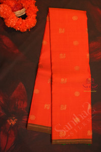 orangish-red-colour-body-with-golden-zari-small-buttas-and-contrast-colour-pallu-blouse