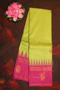 mint-green-colour-body-gopuram-and-annam-butta-with-contrast-blouse-border