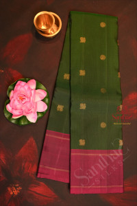 dark-green-colour-body-with-golden-zari-small-chakra-buttas-peacock-motifs-and-contrast-colour-blouse-pallu