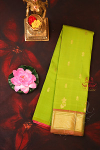 apple-green-colour-body-with-golden-zari-buttas-single-side-border-and-contrast-pallu-without-blouse