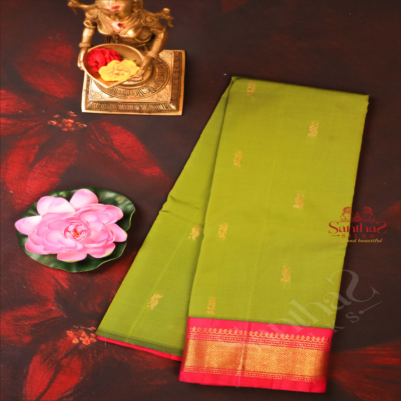 OLIVE GREEN COLOUR BODY WITH GOLDEN ZARI BUTTAS & SINGLE SIDE BORDER AND CONTRAST PALLU WITHOUT BLOUSE