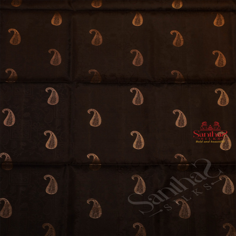 BLACK COLOUR BODY WITH GOLDEN ZARI MANGO BUTTA WITH CONTRAST BLOUSE & BORDER