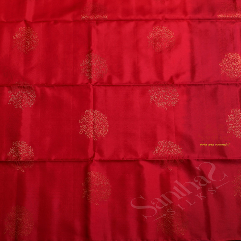 PINK COLOUR BODY WITH GOLDEN ZARI BUTTA WITH CONTRAST BLOUSE & BORDER