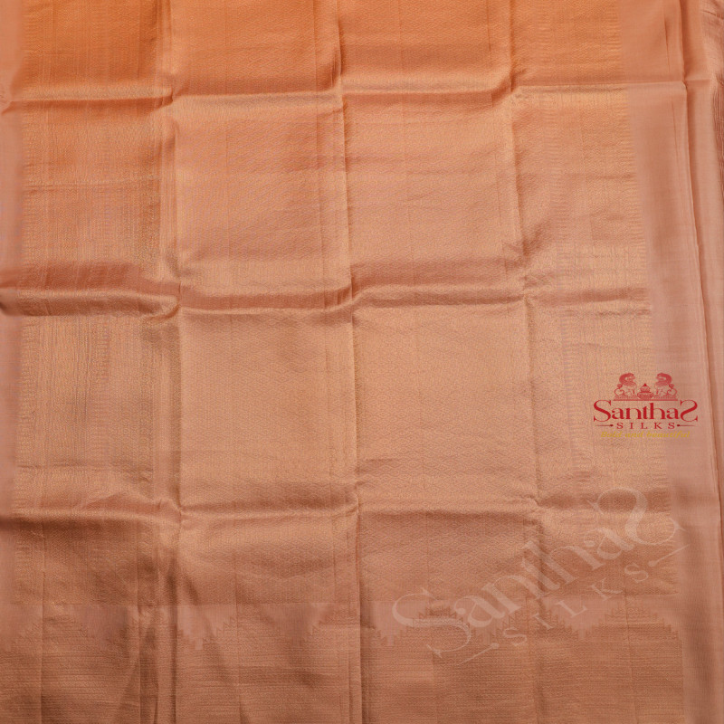 BORDERLESS BROWN SUGAR COLOUR BODY WITH GOLDEN ZARI MANGO BUTTA WITH CONTRAST BLOUSE