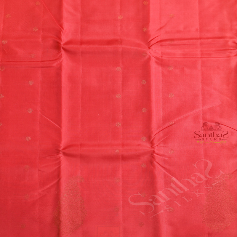 BORDERLESS PINK COLOUR BODY WITH GOLDEN ZARI BUTTA WITH CONTRAST BLOUSE