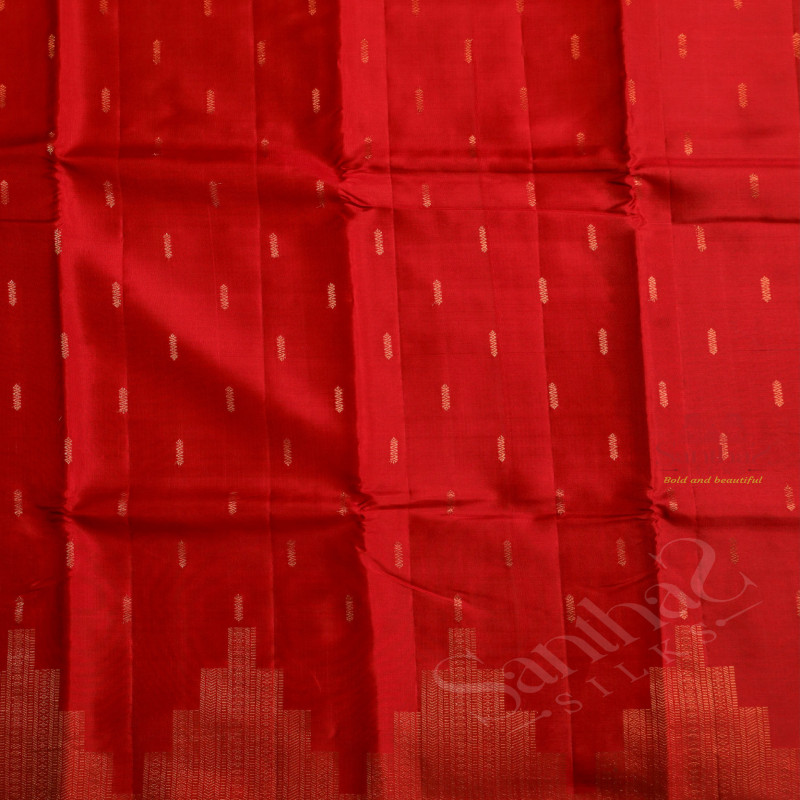 BORDERLESS RED COLOUR BODY WITH GOLDEN ZARI FANCY BUTTA WITH CONTRAST BLOUSE & BORDER