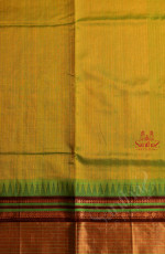 APPLE GREEN COLOUR BODY WITH GOLDEN STRIPS WITH CONTRAST BLOUSE & BORDER