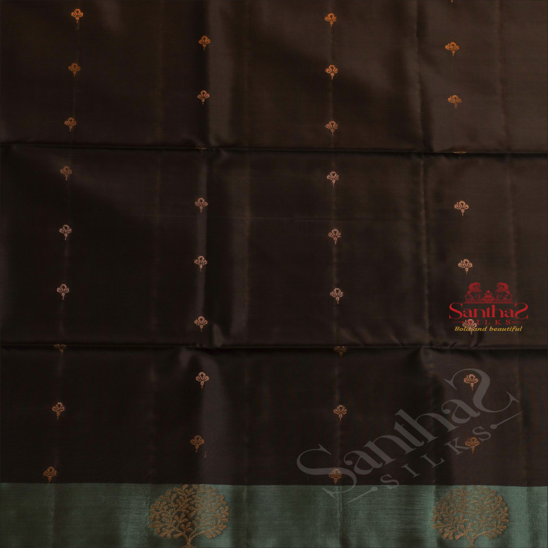 BLACK COLOUR BODY WITH GOLDEN ZARI BUTTA WITH CONTRAST BLOUSE & BORDER