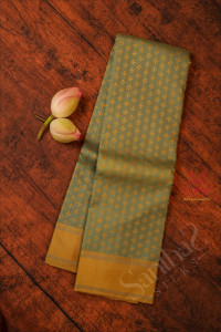 tea-green-colour-body-with-fancy-thread-butta-with-self-blouse