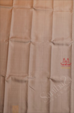 BORDERLESS SILVER GREY COLOUR BODY WITH SELF BLOUSE