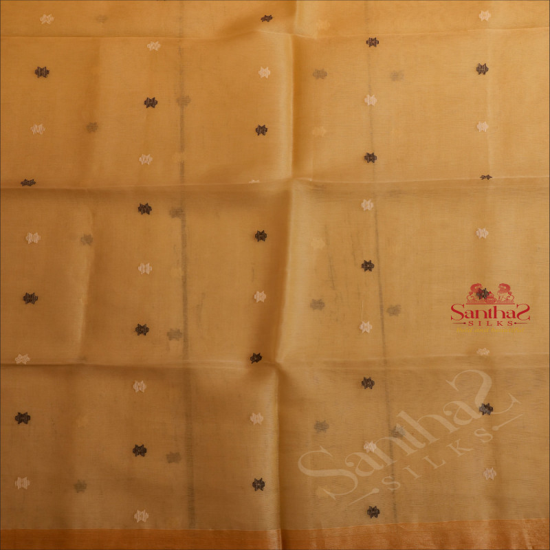 BEIGE COLOUR ORGANZA SAREE BODY WITH WHITE & BLACK THREAD BUTTAS AND SELF COLOUR PALLU & BLOUSE