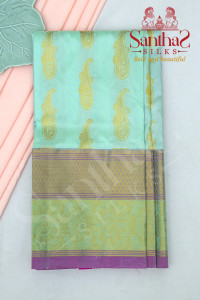 pista-green-body-in-zari-mango-butta-with-contrast-blouse-border