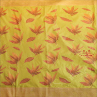 BANARAS SAREE IN ELACHI GREEN