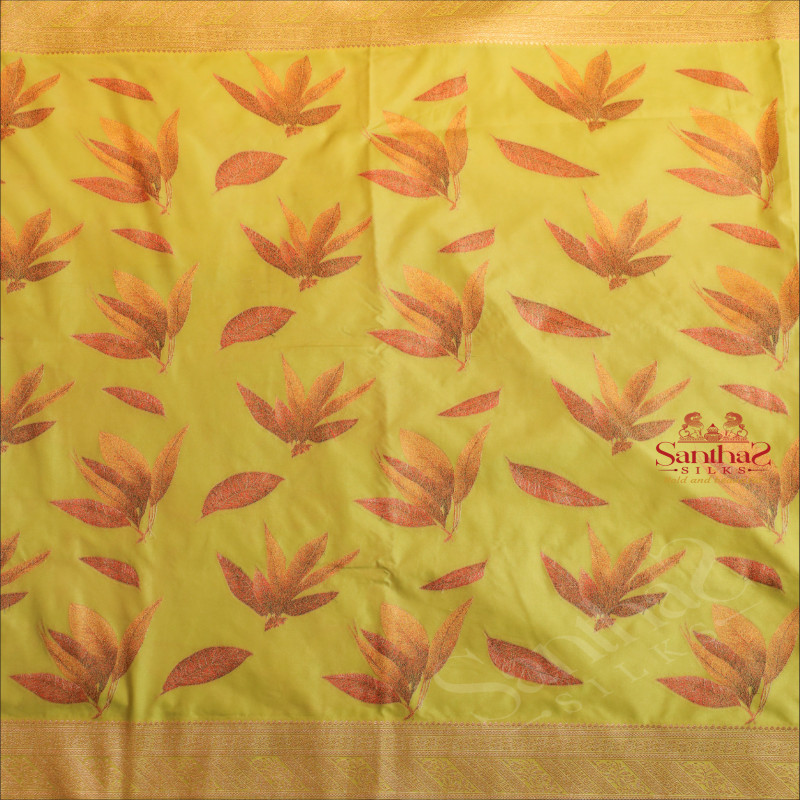 BANARAS SAREE IN ELACHI GREEN