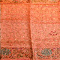  ORGANZA SAREE WITH DIGITAL PRINT IN LIGHT PEACH COLOUR AND HANDWORK