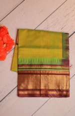 APPLE GREEN COLOUR BODY WITH GOLDEN STRIPS WITH CONTRAST BLOUSE & BORDER