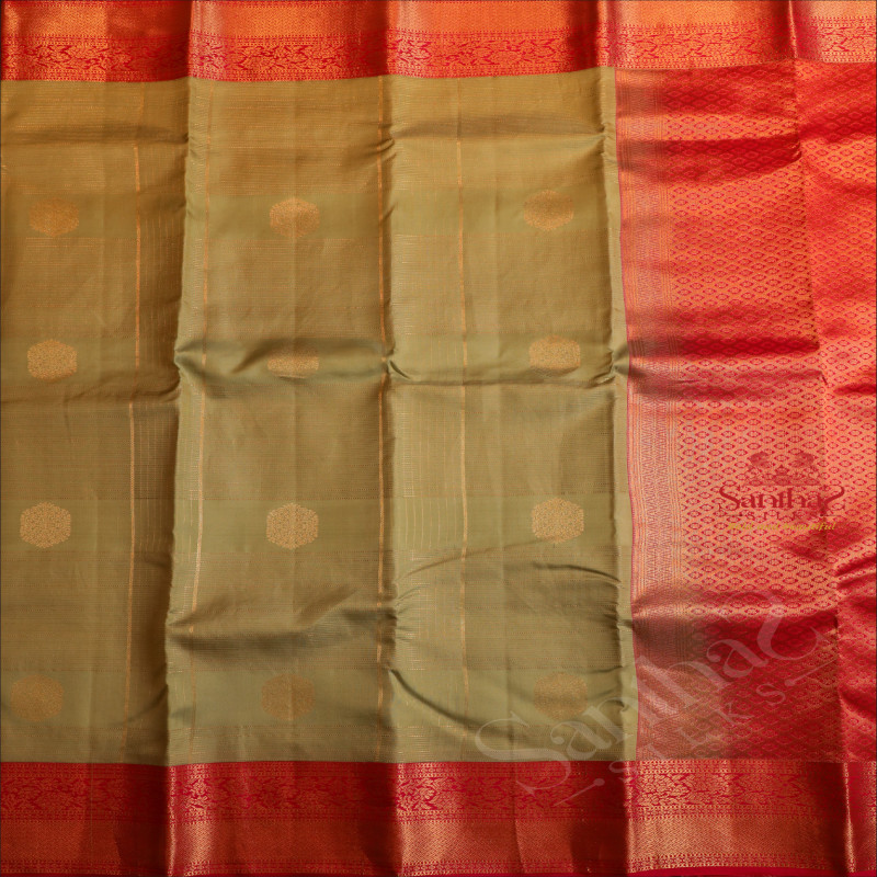 SAGE GREEN COLOUR BODY WITH GOLDEN ZARI LINES & BUTTAS AND CONTRAST PALLU & BLOUSE