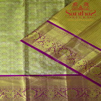 GOLD TISSUE BODY IN FLORAL PATTERN WITH CONTRAST BLOUSE & BORDER