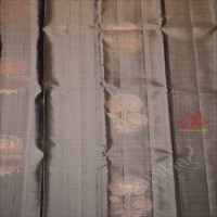 BORDERLESS GRAY COLOUR BODY WITH COPPER ZARI FLORAL BUTTA WITH CONTRAST BLOUSE