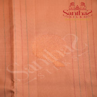 BORDERLESS PANTONE PINK COLOUR BODY WITH ROSE GOLD & SILVER ZARI STRIPS, MOTIFS AND CONTRAST BLOUSE