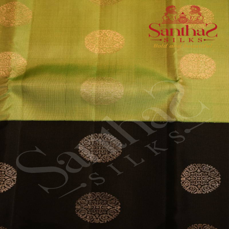MINT GREEN COLOUR BODY WITH SILVER ZARI MOTIFS AND CONTRAST BLOUSE